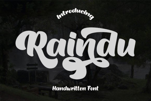 Raindu Typeface Review: Elevating Digital Brand Identity