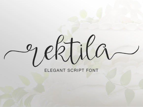 Rektila: A Modern Script Font for Digital Branding