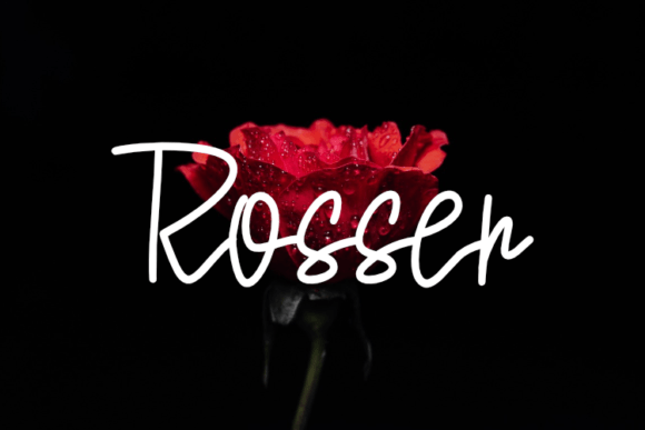 Rosser Typeface Review: Elevating Brand Identity with Script Amp